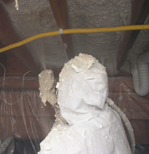 Kelowana BC crawl space insulation
