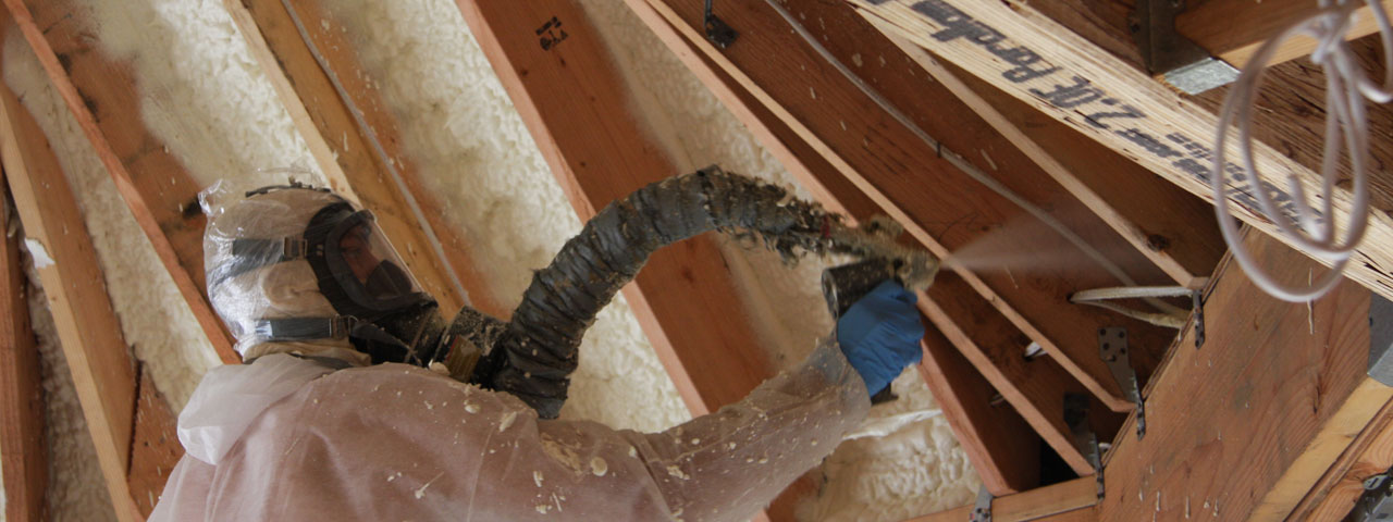 Kelowana British Columbia Attic Insulation Spray Foam